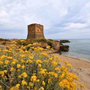 Sicilia - La Bussola on the Road