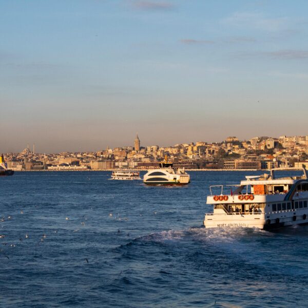 pexels-yusuf-bildik-314919045-13679546