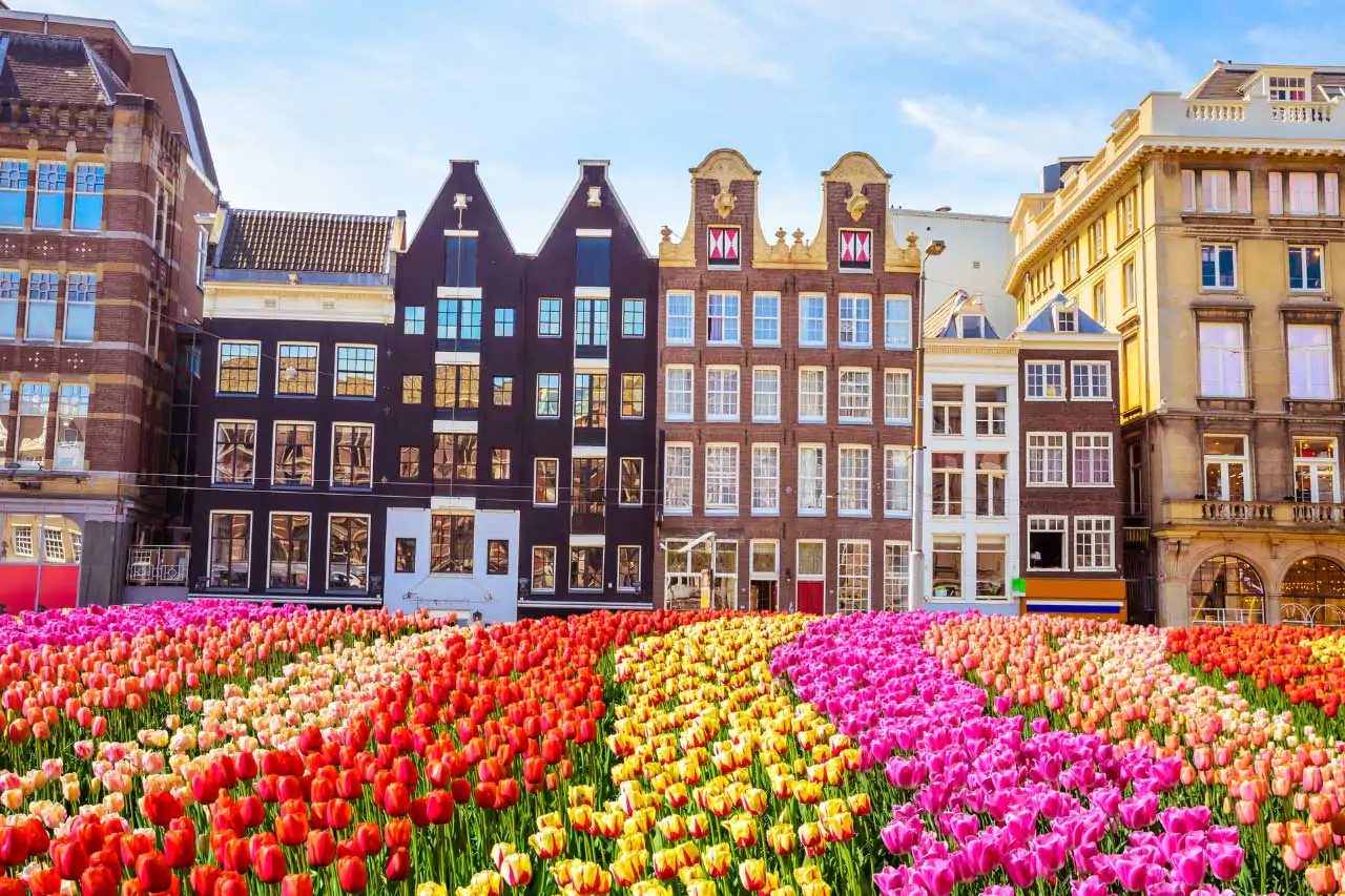 Amsterdam-La-Bussola-on-the-Road-2