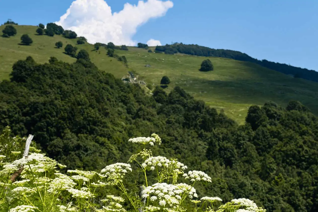 Settimana-Verde-a-San-Valentino-Brentonico-La-Bussola-on-the-Road-5