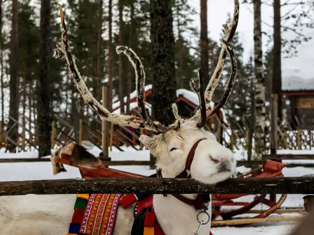 festività di fine anno a rovaniemi