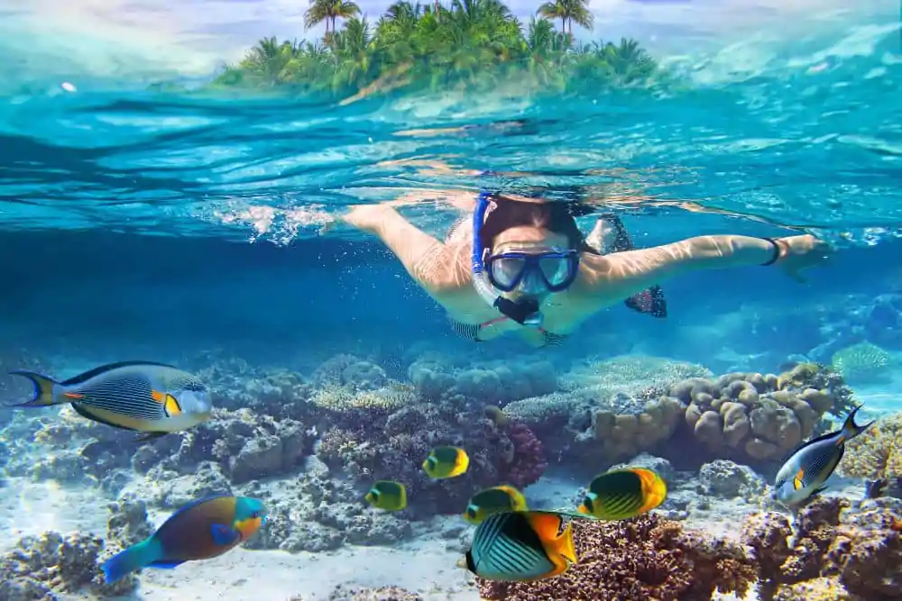 sub maldive