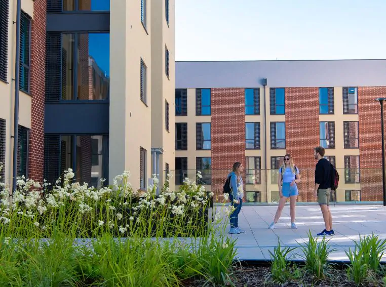 university of sussex