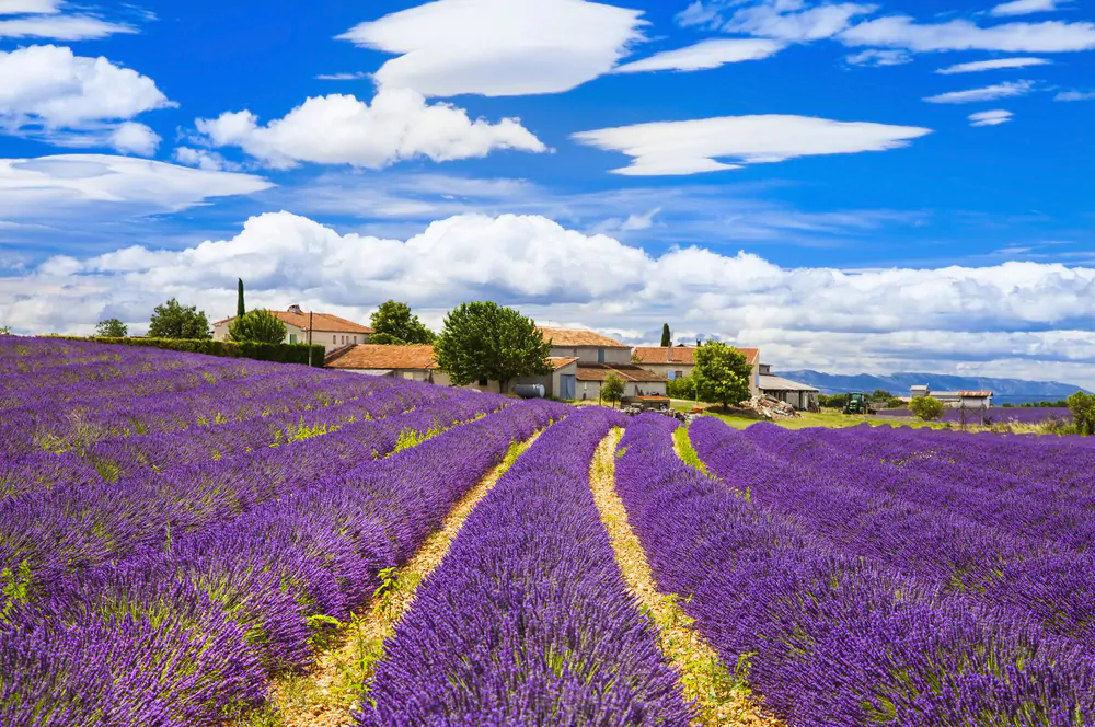 viaggio-provenza