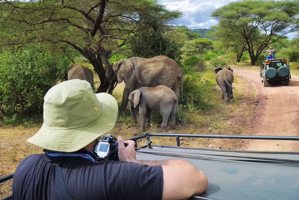 tanzania (2)